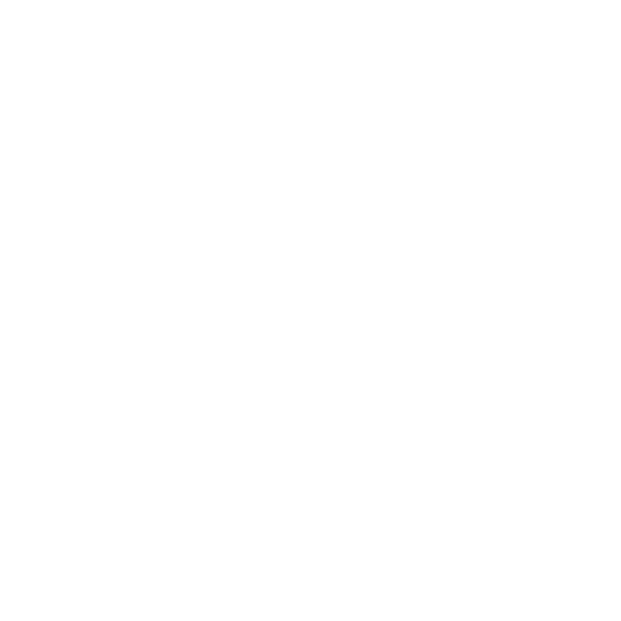 nut and bolt icon